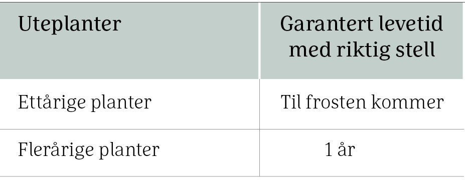 Bilde uten navn