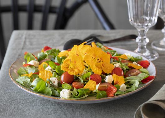 spiselig salat med blomkarse spiselig salat med blomkarse