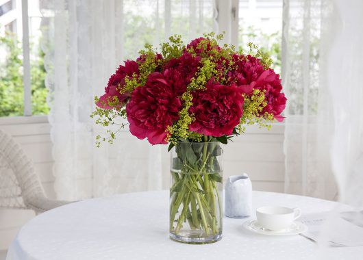 alchemilla er vakkert sammen med peoner alchemilla er vakkert sammen med peoner