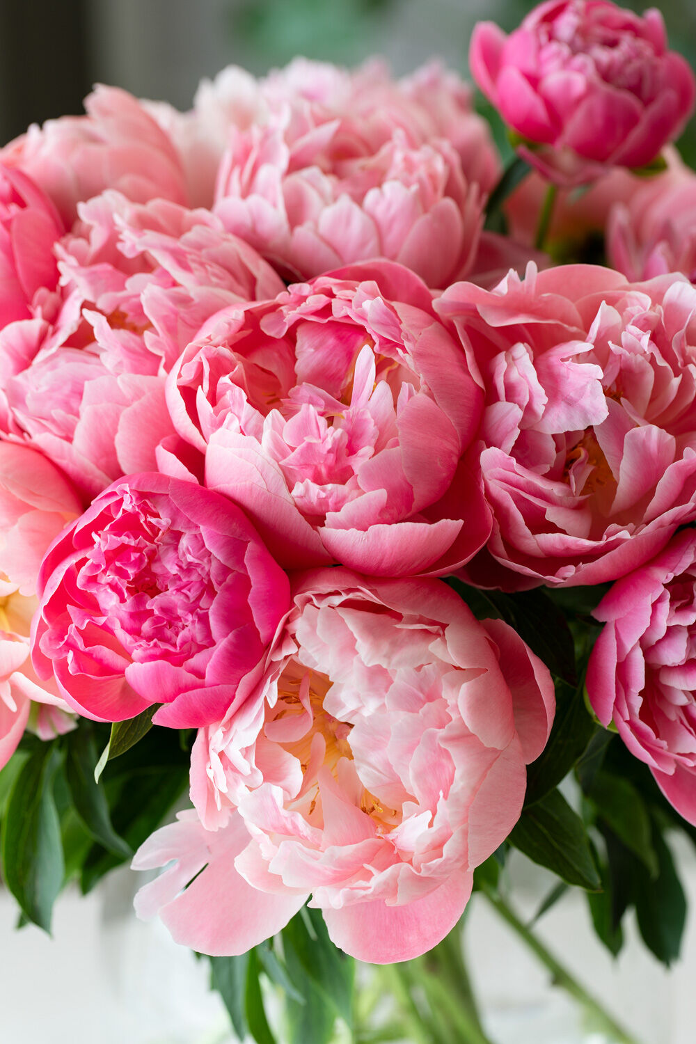 blomster