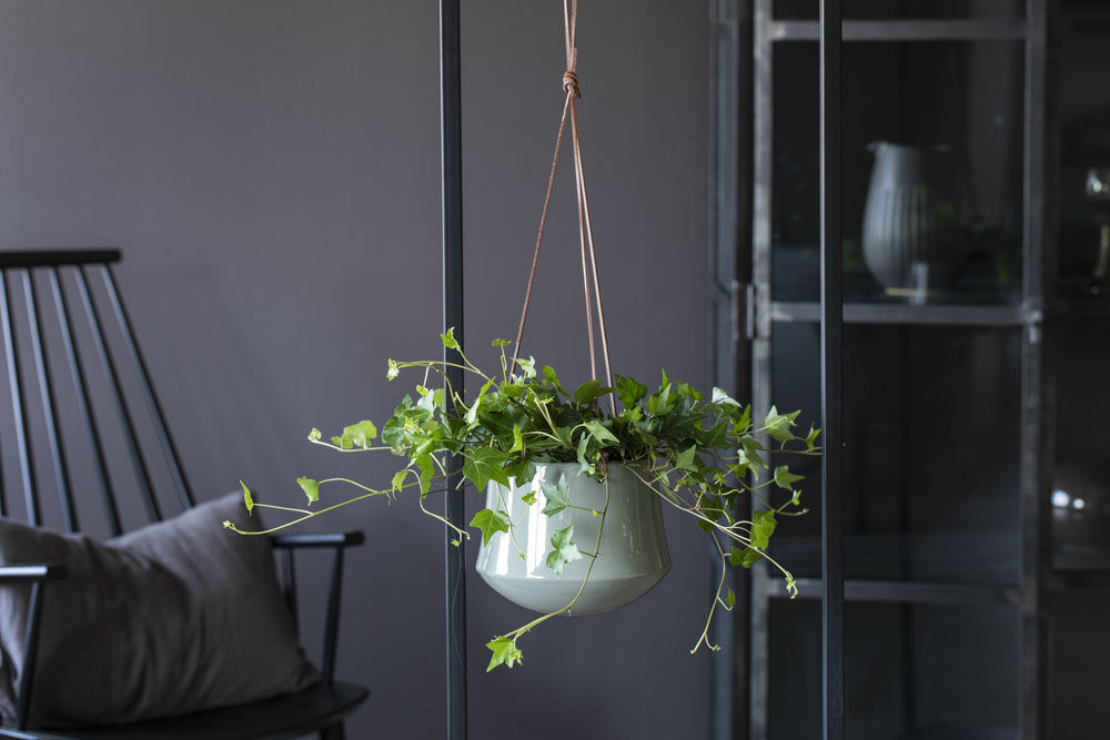 Purity ampler med hengende grønne planter. Purity ampler med hengende grønne planter.