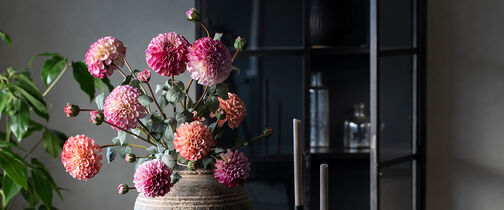 Hortensia i vase
