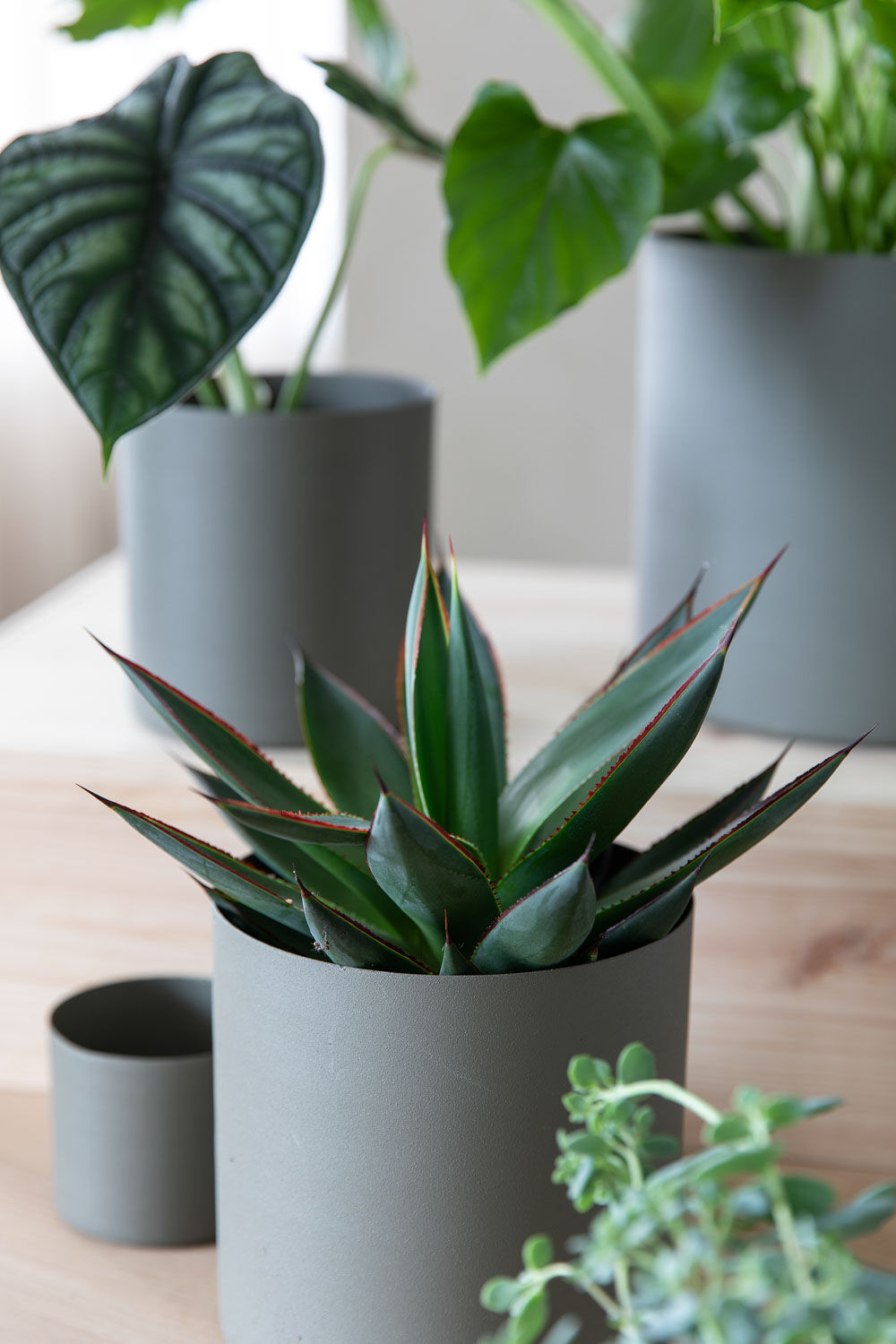 Grow blomsterpotter