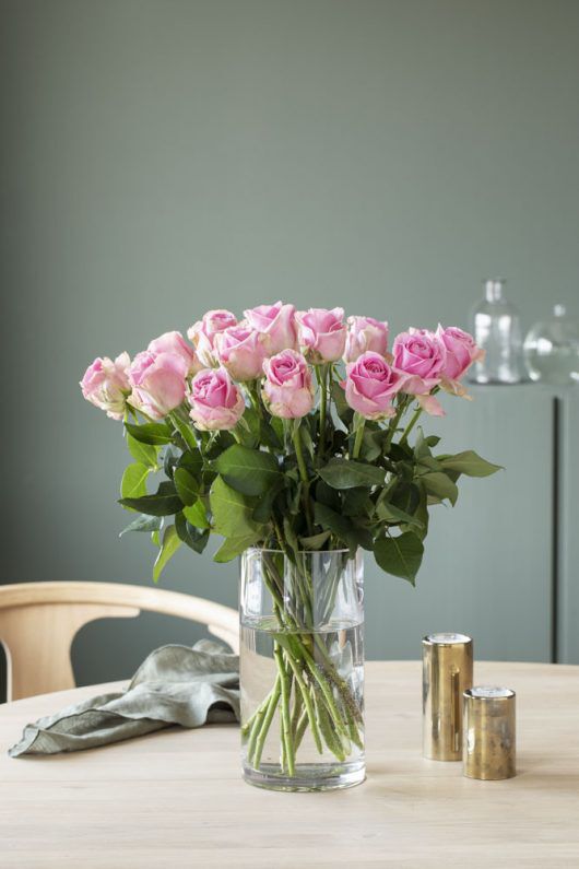 Rosa roser Rosa roser