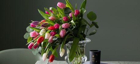 herlige-friske-tulipaner