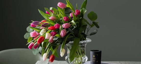 tulipaner i mange farger