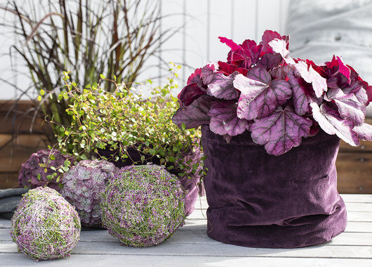 høst med lyngkuler og høstblomster høst med lyngkuler og høstblomster