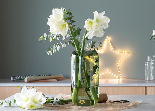 blomster blomster