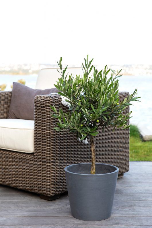 Ecopottene er lette og enkle å flytte Ecopottene er lette og enkle å flytte