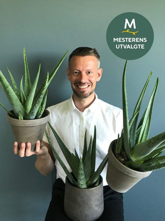 Arctic Garderer slår et slag for Aloe Vera Arctic Garderer slår et slag for Aloe Vera