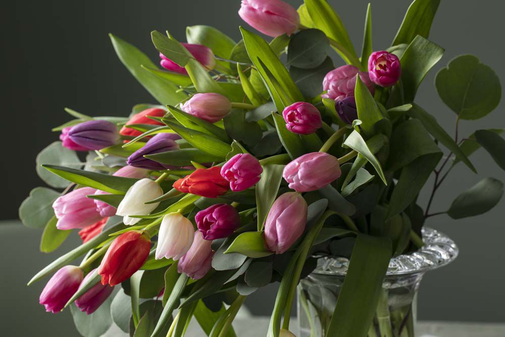 tulipaner i mange farger i glassvase