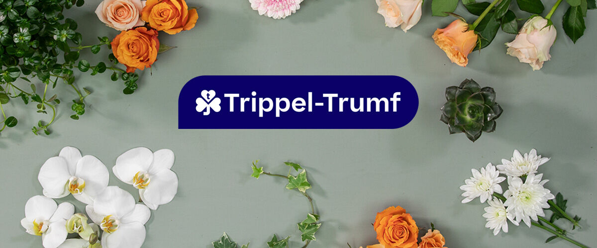 Få Trumf-bonus på blomster hos Mester Grønn