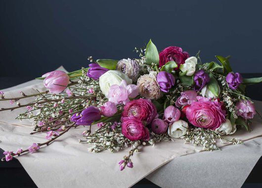 sesongens vakre blomster sesongens vakre blomster