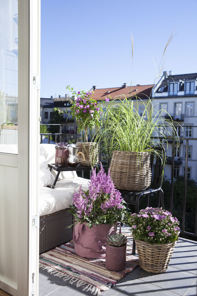 Blomster Balkong