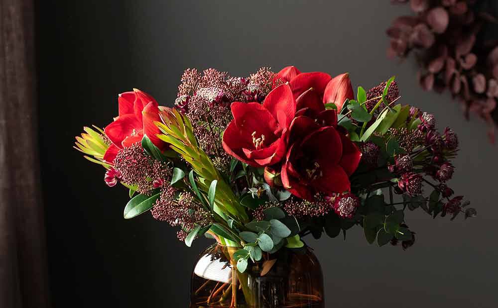 Vakker amaryllis-bukett Vakker amaryllis-bukett