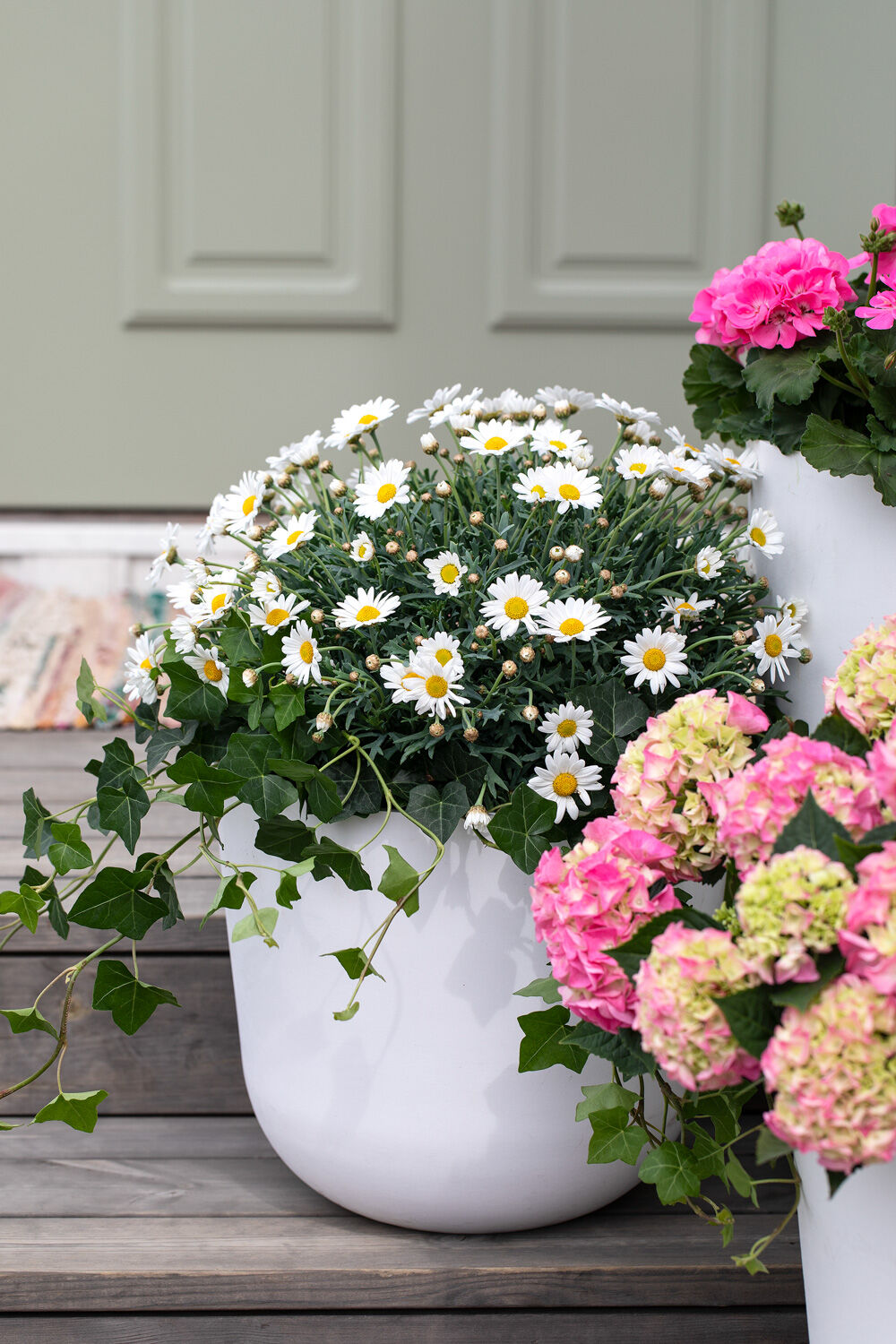 Blomster i inngangspartiet