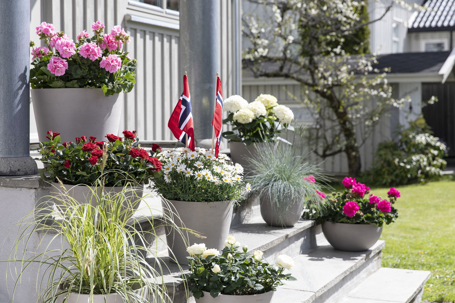 inngangsparti med vakre sommerblomster til 17. mai inngangsparti med vakre sommerblomster til 17. mai