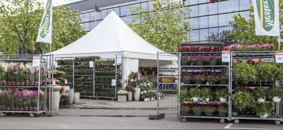 Blomstermarked ute Mester Grønn