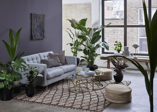 frodig grønn oase med grønne planter frodig grønn oase med grønne planter