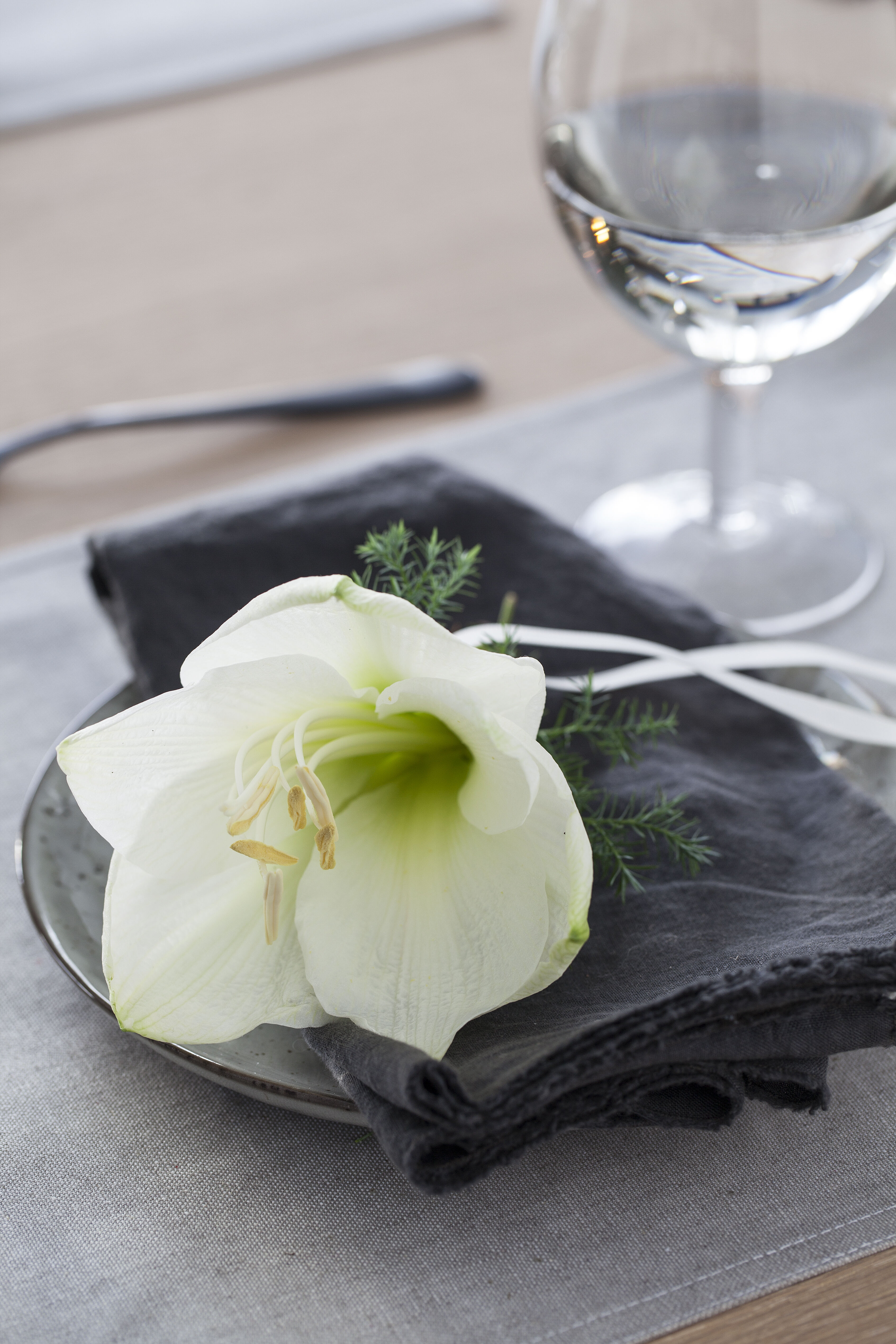 hvit amaryllis er lekkert på kuverten hvit amaryllis er lekkert på kuverten