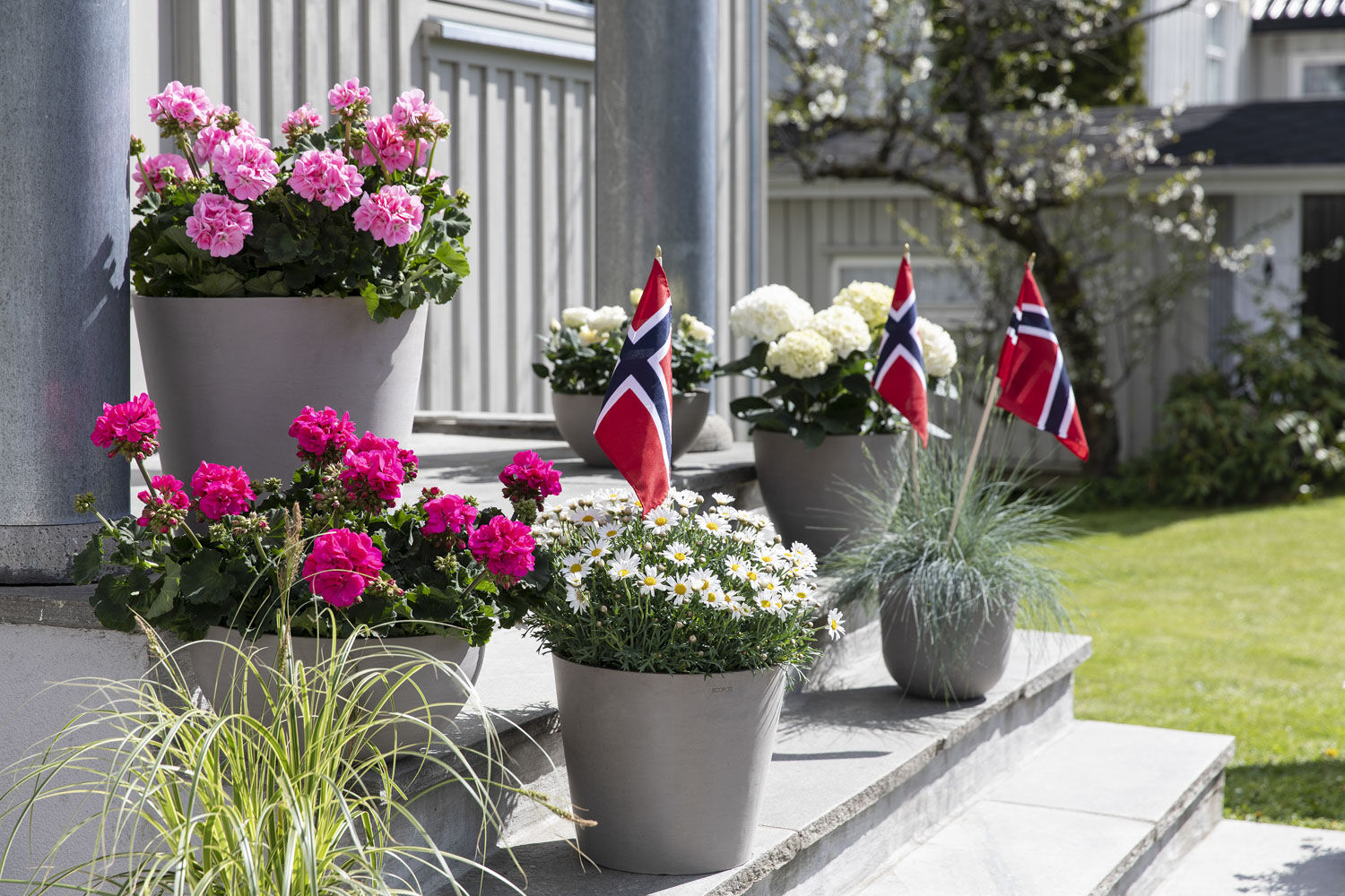 Pynte til 17. mai Pynte til 17. mai