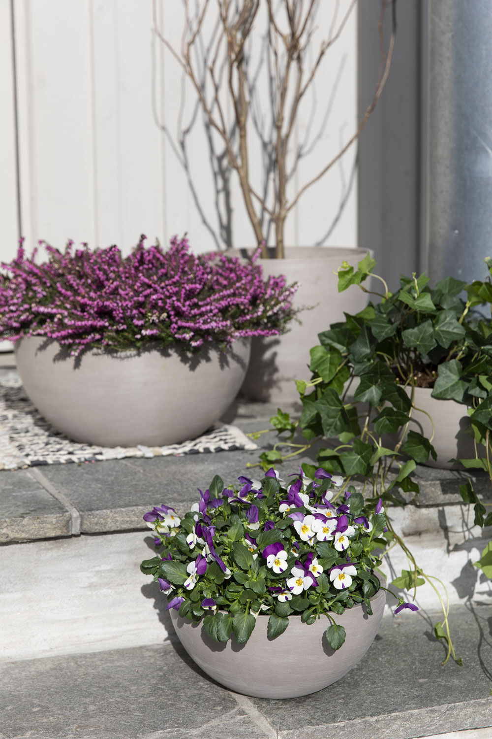 Vårblomster på trappen Vårblomster på trappen