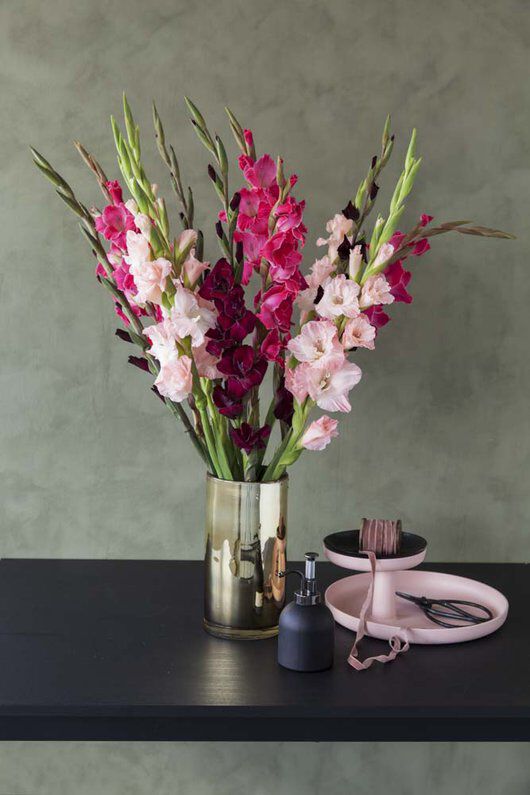 Fargerik bukett med gladioler