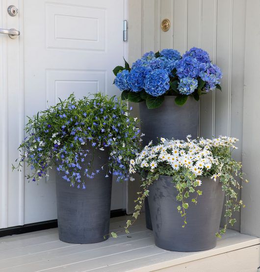 pynt blomstene med norske flagg og nasjonalbånd pynt blomstene med norske flagg og nasjonalbånd