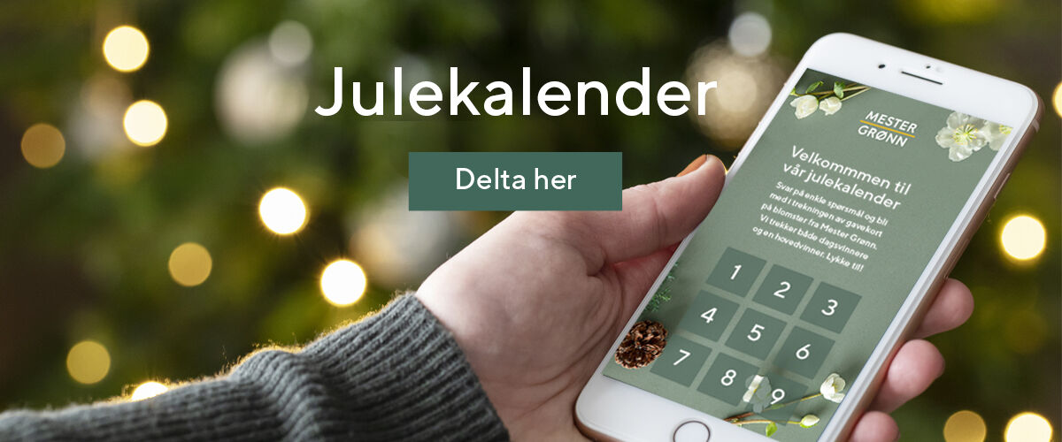Mester Grønn Julekalender