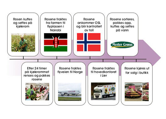 Rosens vei til Mester Grønn Rosens vei til Mester Grønn