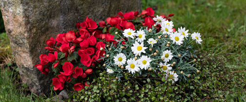 Tips til blomster på graven