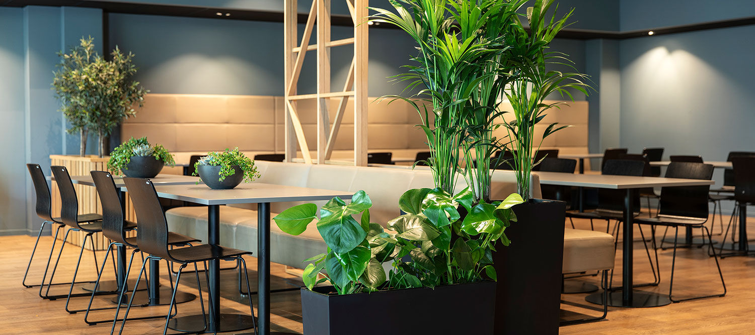 Gr&oslash;nne planter