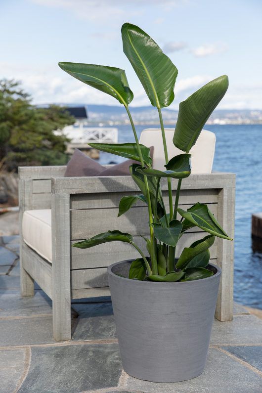 ecopots er ekstra holdbare og produsert av resirkulert plast ecopots er ekstra holdbare og produsert av resirkulert plast