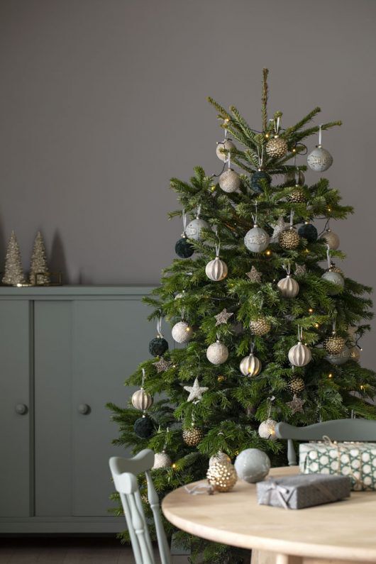 Edelgran er en av de mest solgte juletrærne Edelgran er en av de mest solgte juletrærne