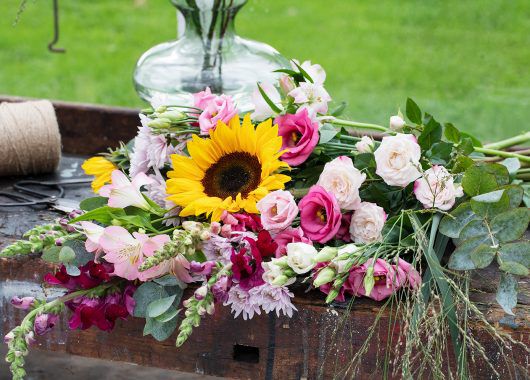miks forskjellige sommerblomster miks forskjellige sommerblomster