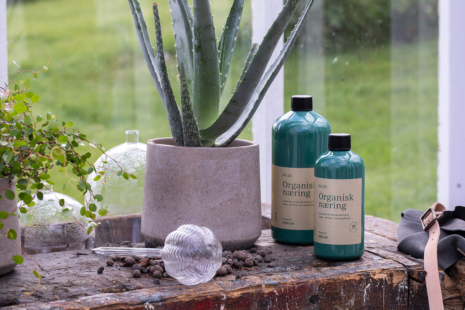 Organisk næring og Aloe Vera Organisk næring og Aloe Vera