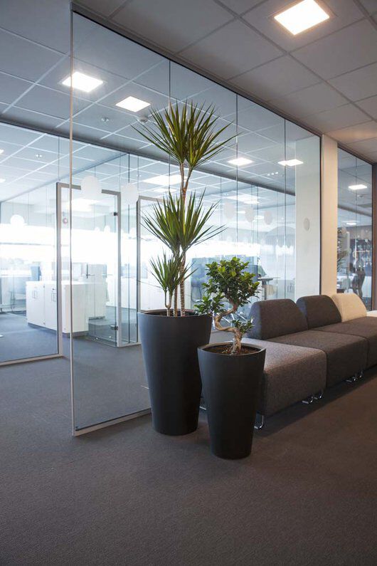 grønne planter skaper trivsel på arbeidsplassen grønne planter skaper trivsel på arbeidsplassen