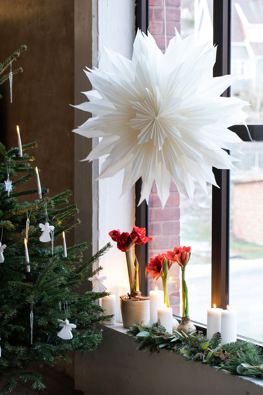 Adventsstjerner i vinduet
