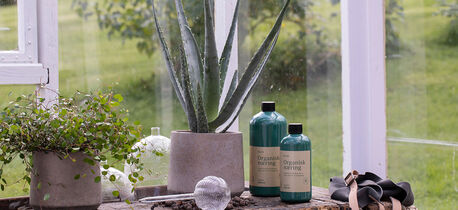 slik-steller-du-aloe-vera
