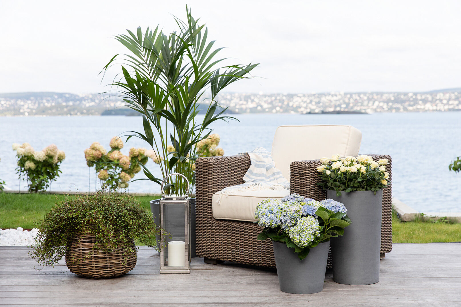 grønne planter og sommerblomster er fint å kombinere grønne planter og sommerblomster er fint å kombinere