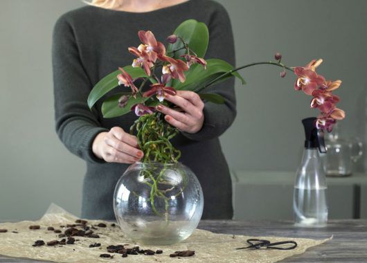 Sett orkidéen ned i en egnet glassvase