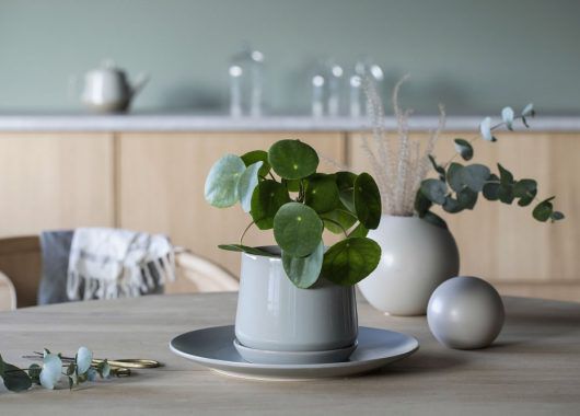 Eternity blomsterpotte er fin å kombinere med vaser i Florum serien Eternity blomsterpotte er fin å kombinere med vaser i Florum serien