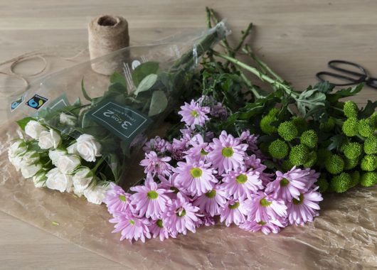 krysantemum inngår i sortimentet av snittblomster til 3for2 krysantemum inngår i sortimentet av snittblomster til 3for2
