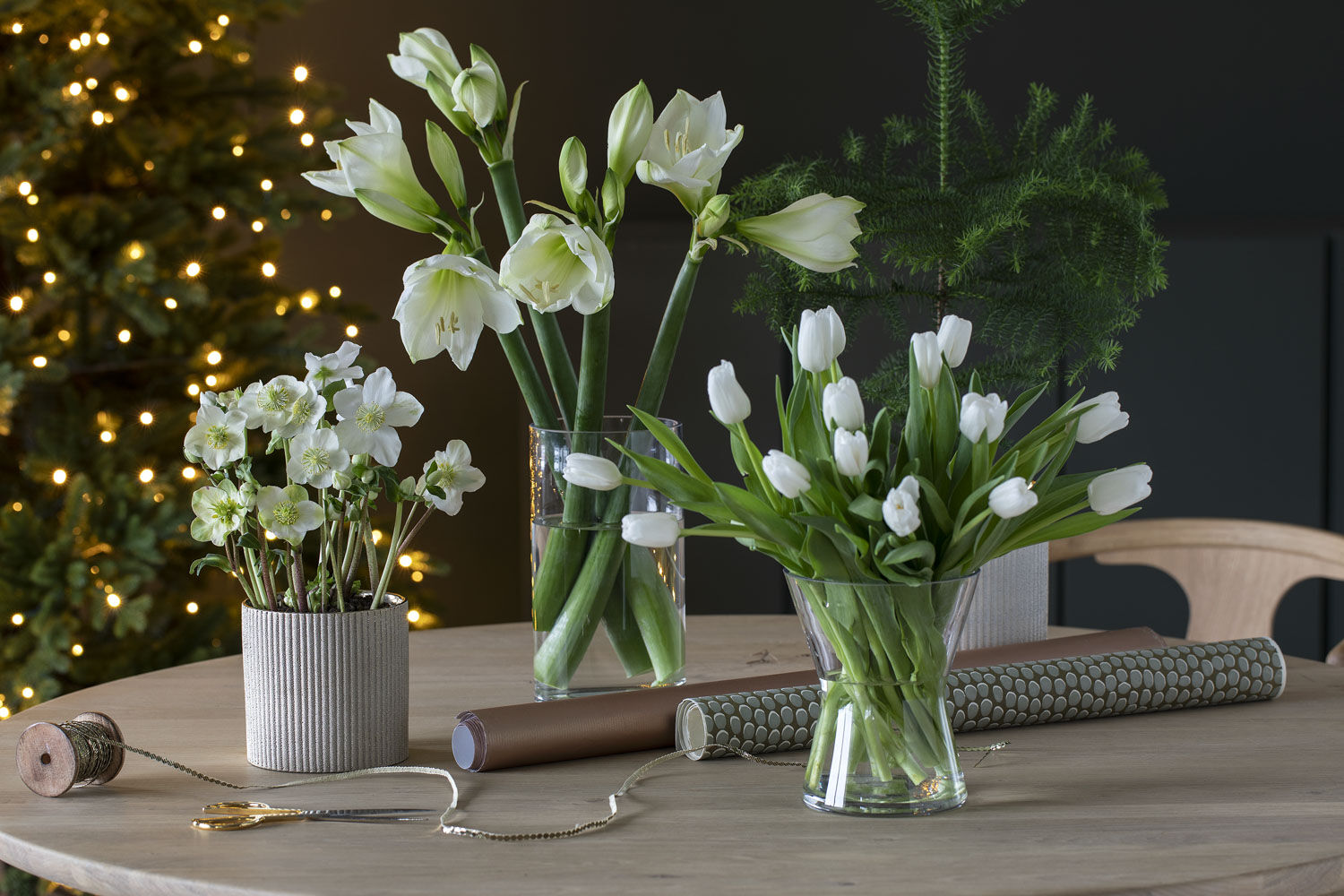 Hvite juleblomster Hvite juleblomster