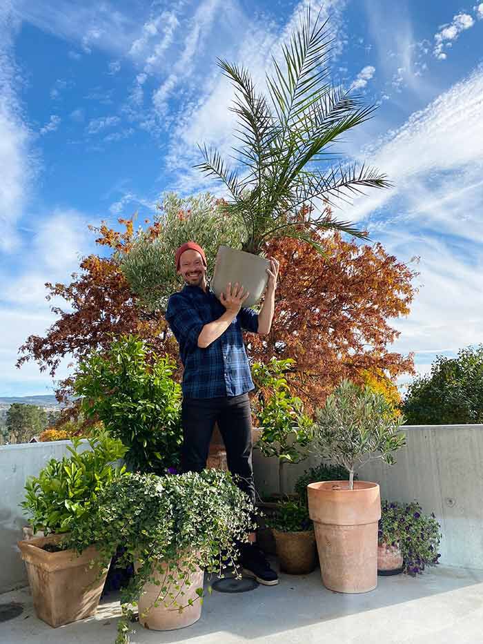 Arcticgardener overvintring planter Arcticgardener overvintring planter
