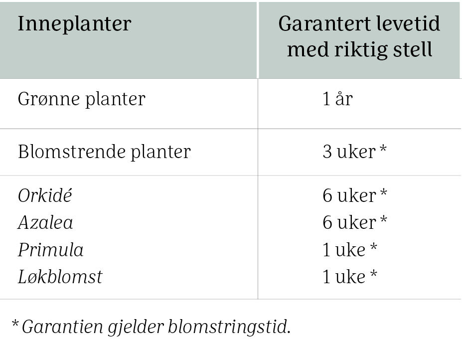 Bilde uten navn