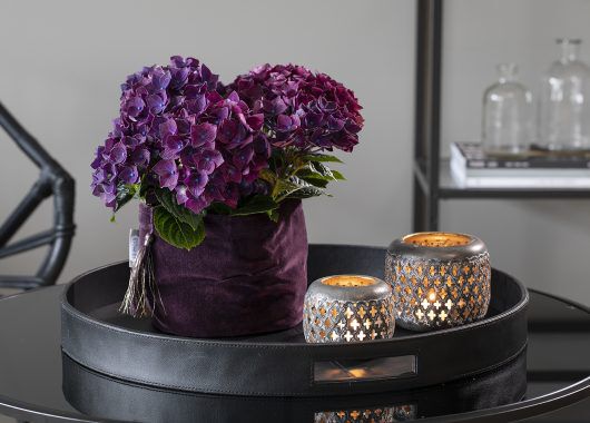 Hortensia trives godt i grow-in selvvanningspotte Hortensia trives godt i grow-in selvvanningspotte