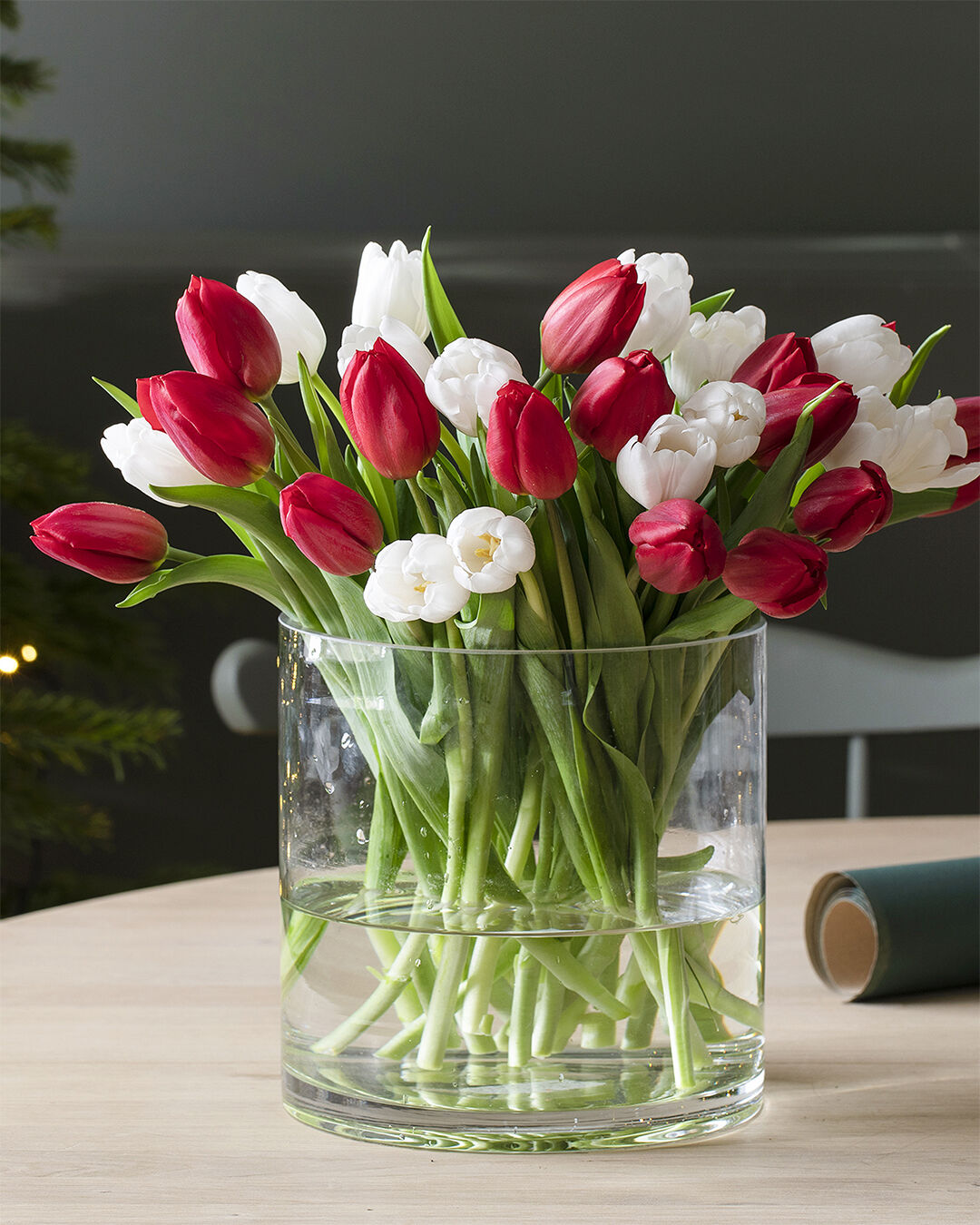 Tulipaner Tulipaner