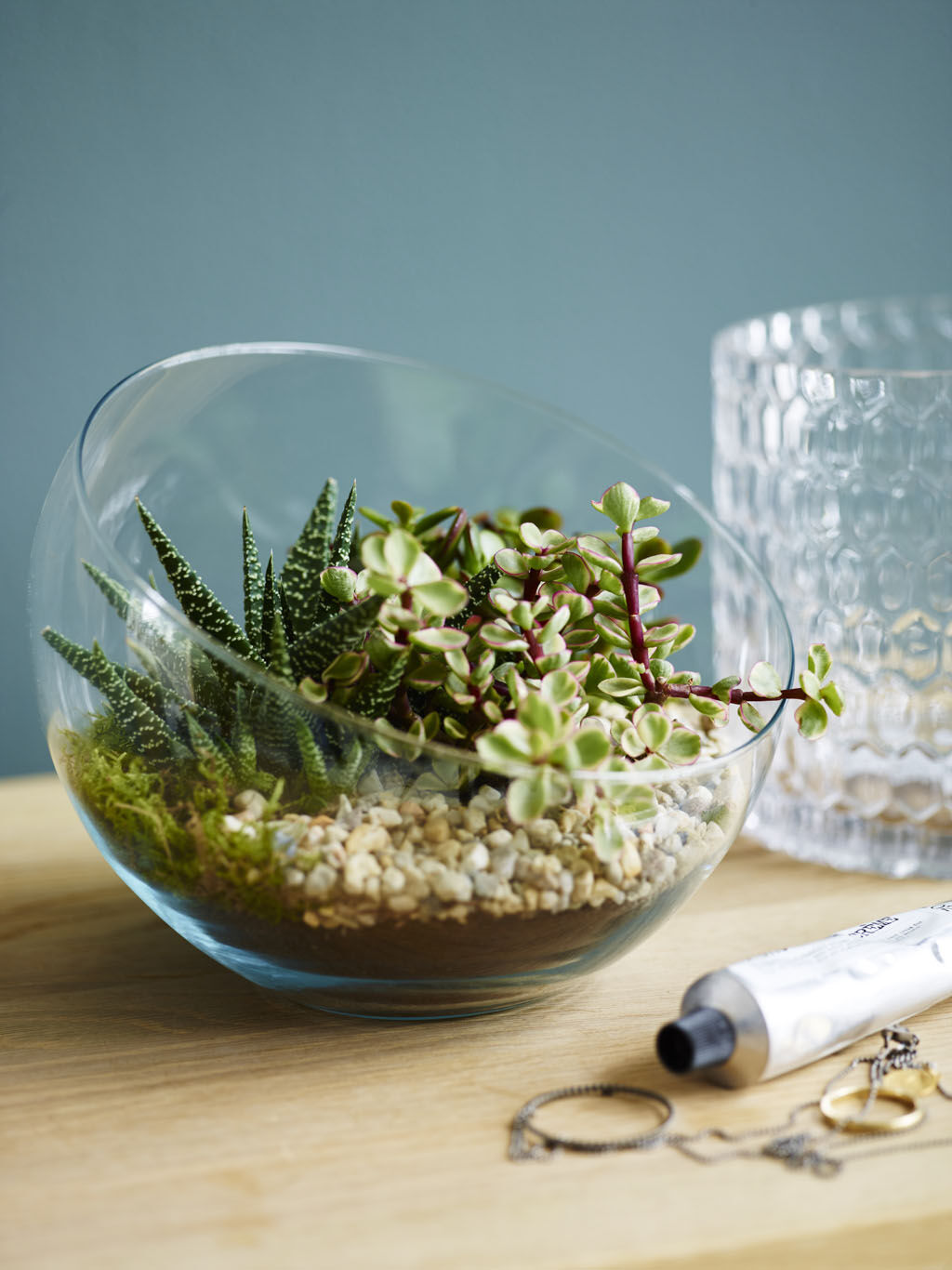 Stilig med sukkulenter og kaktuser i terrarium Stilig med sukkulenter og kaktuser i terrarium