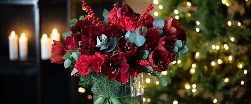 Vakker rød julebukett med amaryllis